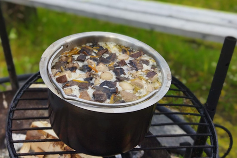 Rovaniemi forest foraging adventure: Pick, Prepare, Savor