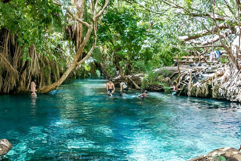 Tagestour zu den Materuni-Wasserfällen, der Kaffeefarm und den heißen Quellen