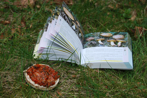 Poiana Brașov: setas silvestres y secretos del bosque