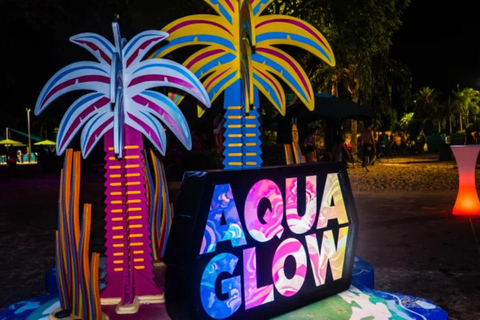 Orlando: Aquatica AquaGlow Night Event Ticket AquaGlow: Any Night Ticket