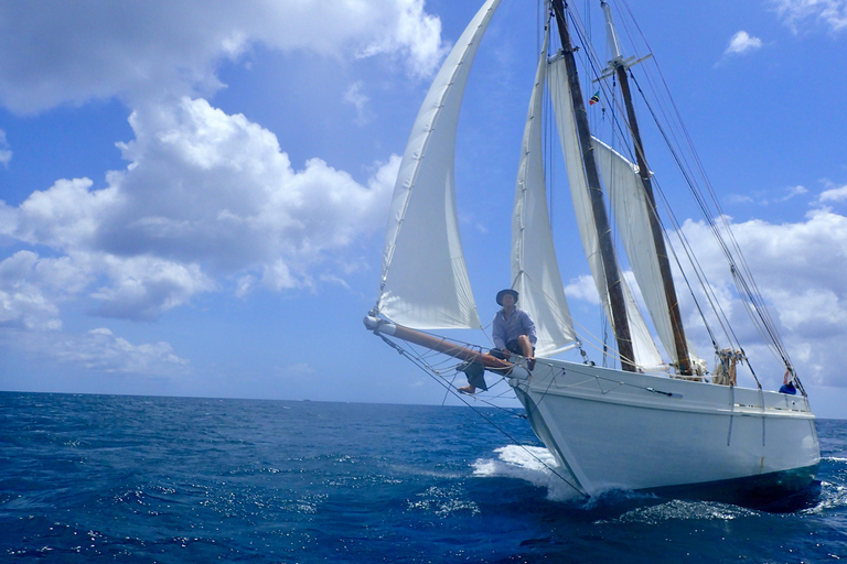 St. Kitts i Nevis: Schooner Alexander Hamilton Sailing ...