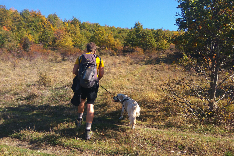 Skopje: Brodec - Spirova Hut - Caminhada em Crn KamenExcursão Brodec - Spirova Hut - Crn Kamen