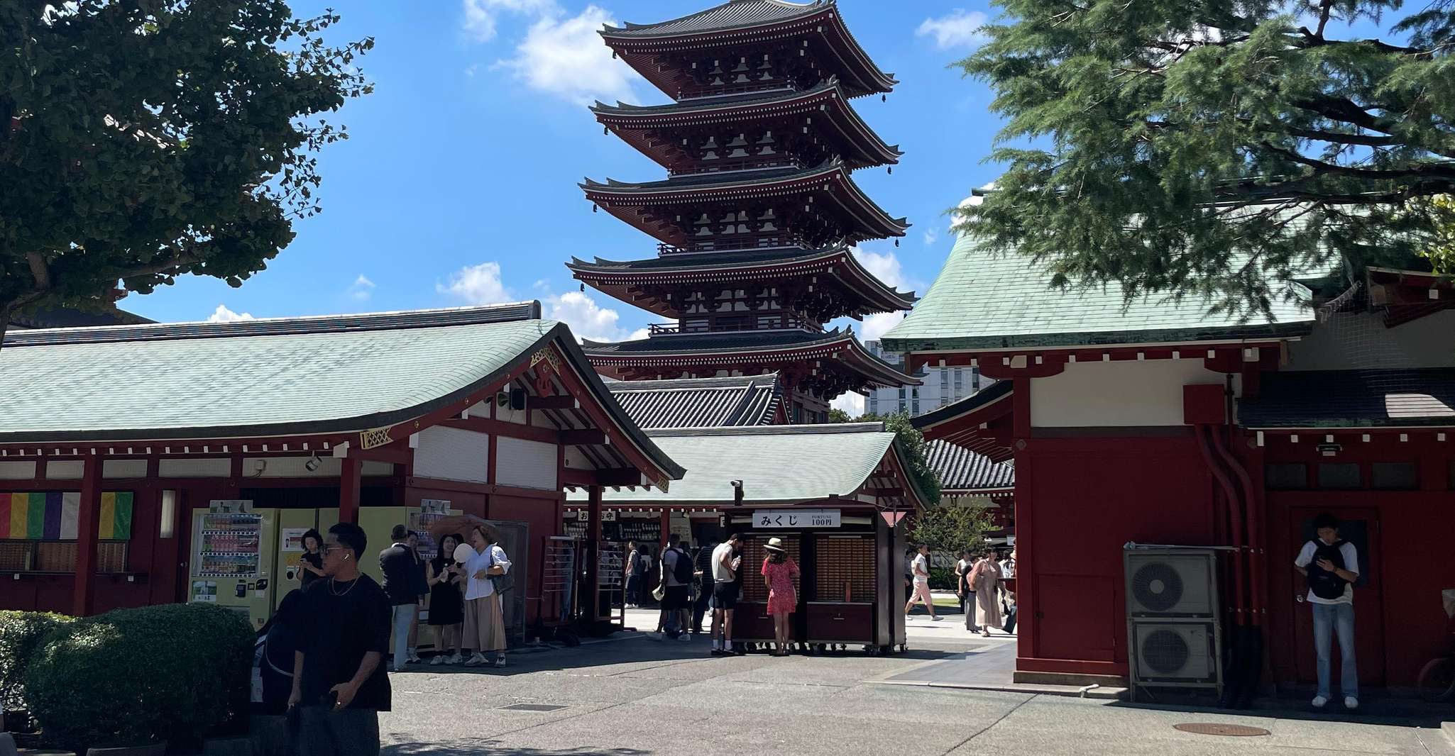 Tokyo: Private City Highlights Tour