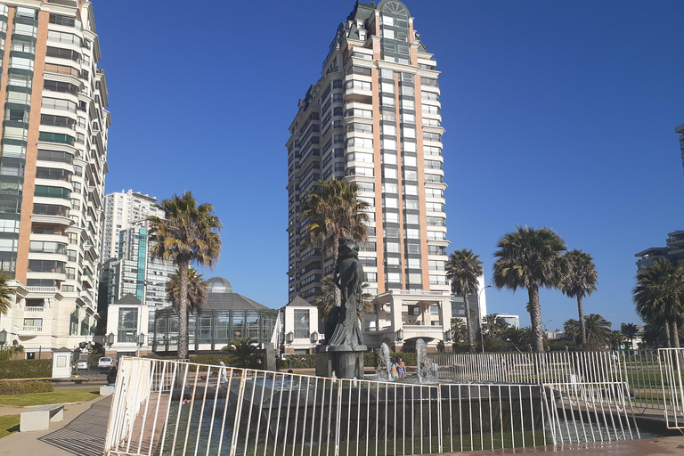 比尼亚德尔马、雷尼亚卡和康康之旅