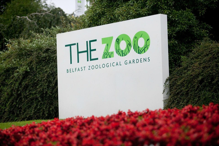 Belfast Zoo: Entry Ticket