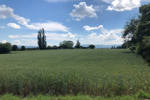 Genfer Landschaft und Weinverkostung mit dem E-Bike