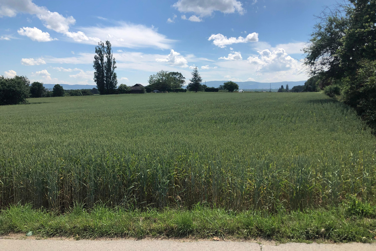 Genèves landsbygd och vinprovning med elcykel