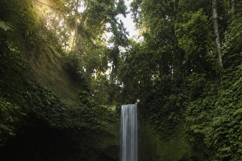 Ubud 3 Hidden Waterfalls & Tegalalang Rice Terrace Tour