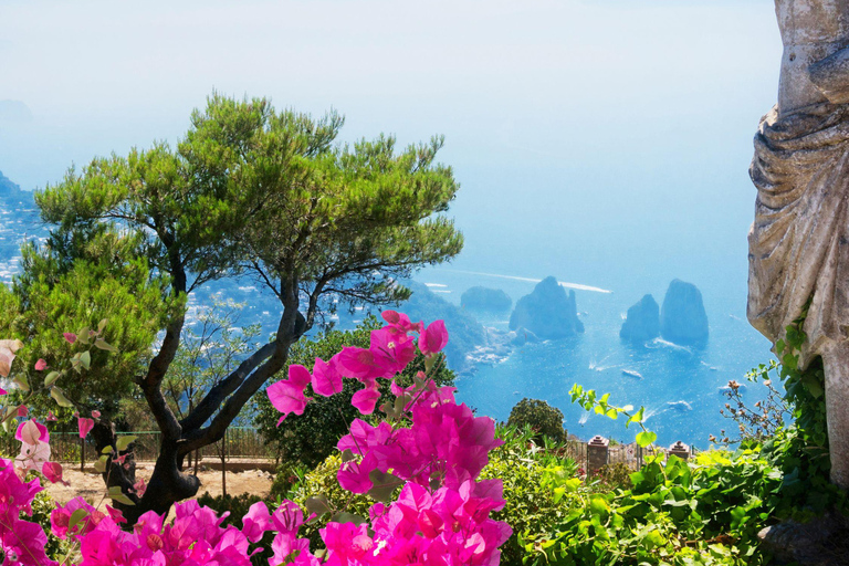 From Naples: Capri and Island Tour