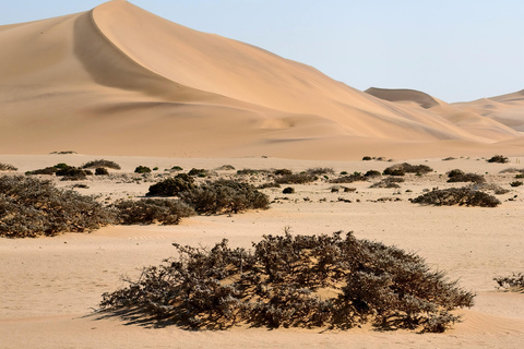 04 Days Swakopmund and Sossusvlei Guided Tour