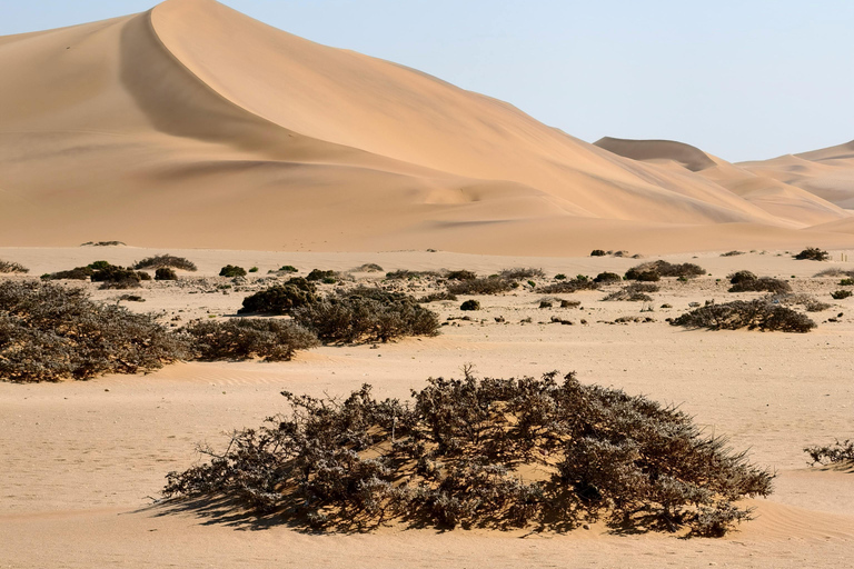 04 Days Swakopmund and Sossusvlei Guided Tour
