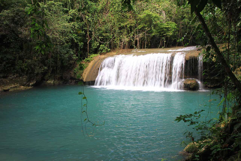 Jamaïque : Safari à la rivière Noire et visite des chutes d&#039;YS