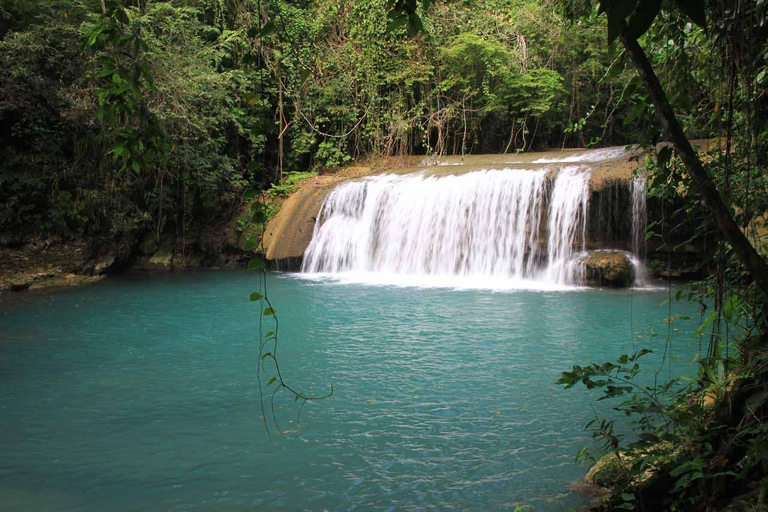 Giamaica: Safari sul fiume Black e tour delle cascate YS