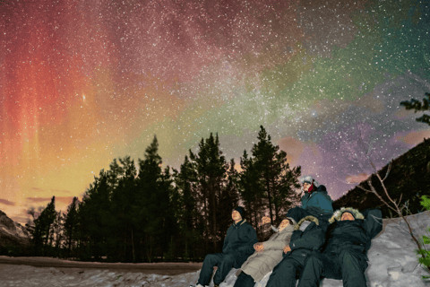 Tromsø: Small-Group Aurora Tour with Free Photos (8 Hours)