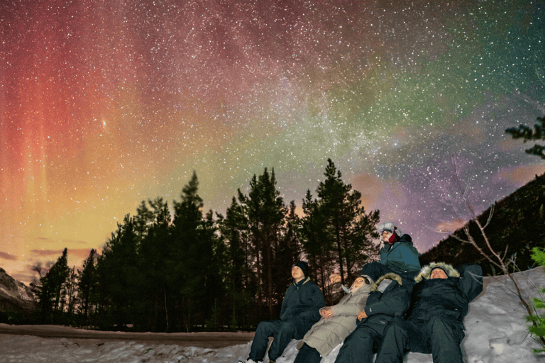 Tromsø: Small-Group Aurora Tour with Free Photos (8 Hours)