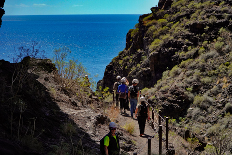 Tenerife: Descent of the Masca Ravine with Audio Guide and Boat Transfer Tenerife: Masca Canyon Descent with Audio Guide and Boat Transfer