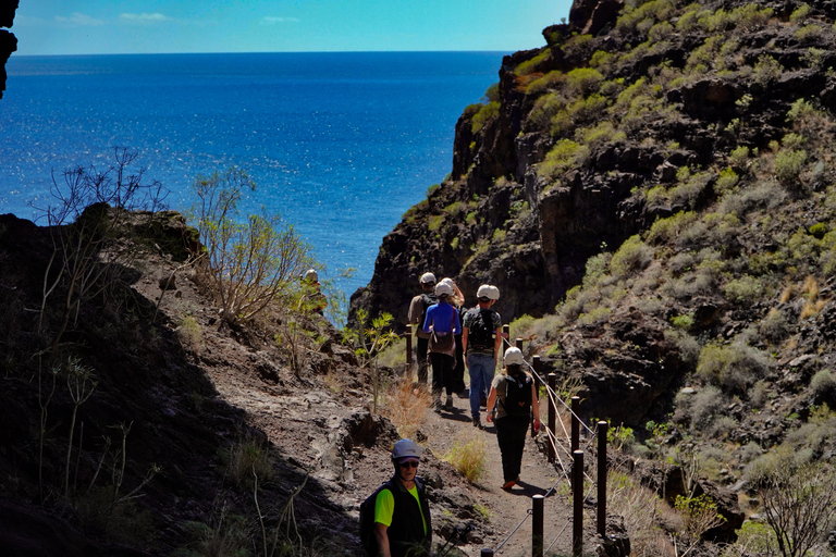 Tenerife: Descent of the Masca Ravine with Audio Guide and Boat Transfer Tenerife: Masca Canyon Descent with Audio Guide and Boat Transfer