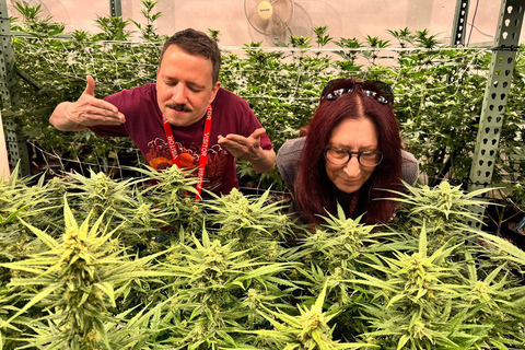 Denver: Private Luxury Cannabis Tour