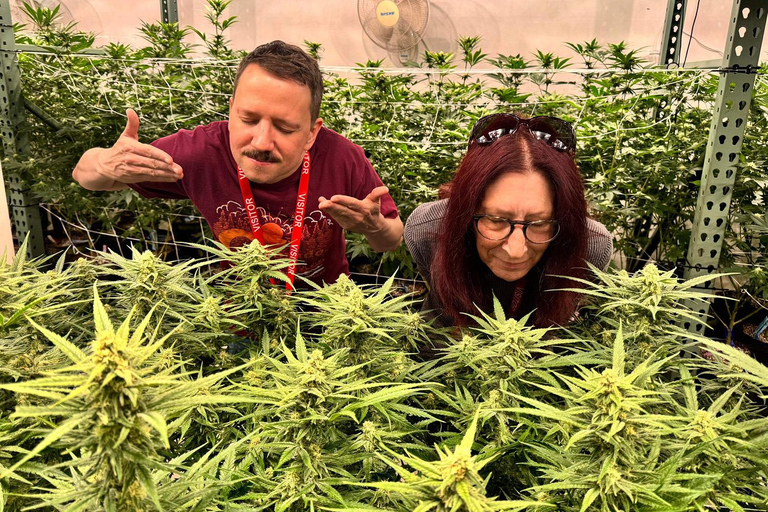 Denver: Private Luxury Cannabis Tour