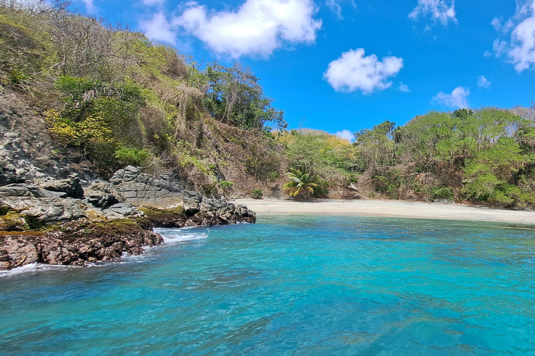 Buccoo Reef and Nylon Pool Adventure