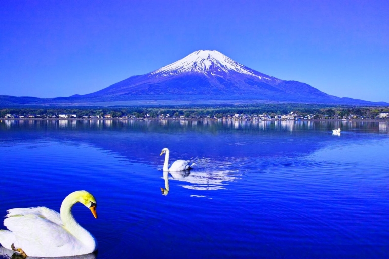 Z Tokio: Góra Fudżi, Jezioro Kawaguchi i jednodniowa wycieczka po YamanakaMiejsce zbiórki na stacji Shinjuku o 8:30