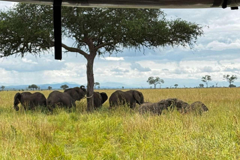 From Zanzibar: Mikumi Safari Day Trip with Flights and Lunch Mikumi Shared Safari without hotel transfer