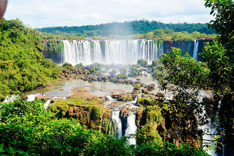 Visite guidée - Découvrez les chutes d&#039;eau du Brésil et le parc ornithologiqueLes cascades du Brésil et le parc ornithologique (billet inclus)