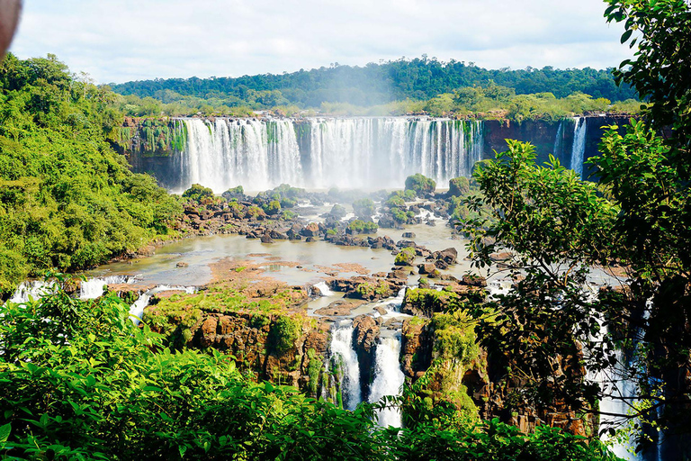 Guided Tour - Explore the Waterfalls Brazil and Bird Park