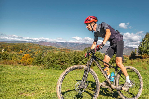 Sinaia: Guided Mountain Bike Tour in the Bucegi Mountains