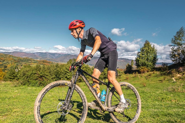 Sinaia: Guided Mountain Bike Tour in the Bucegi Mountains