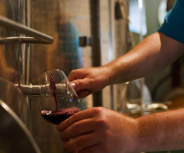 La Mare Wine Estate: Premium Vineyard & Distillery Tour