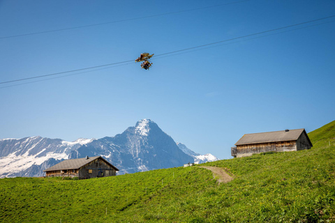 Depuis Zurich : Grindelwald en téléphérique et Interlaken