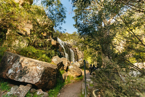 Desde Melbourne: Excursión en grupo al Parque Nacional de los Grampians