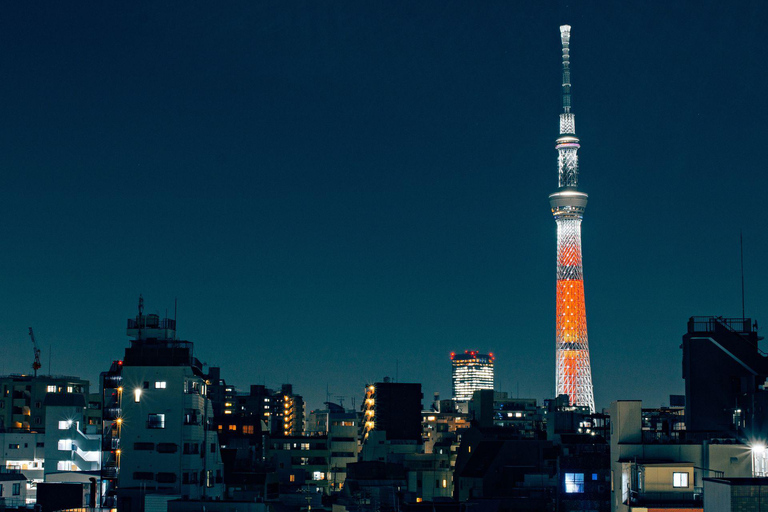 Tokyo: Luxury Private Full-Day City Tour by Alphard Luxury Alphard
