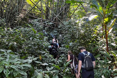Chiang Rai: Jungle Adventure-Group Trekking & Bamboo Cooking