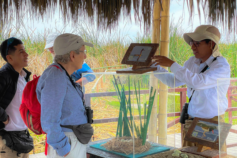 Letztes kleines Wildtierreservat in Lima