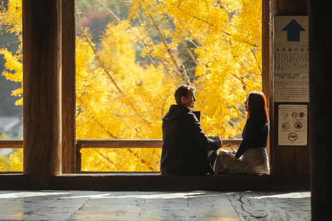 Hiroshima & Miyajima Full day Tour with Pro Photographer