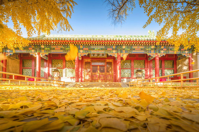 Beijing:Prince Gong's Mansion ticket(guide opt)