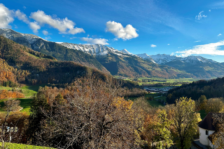 Berne : Excursion d'une journée dans la Gruyère et le vignoble de Lavaux avec fromage et vin