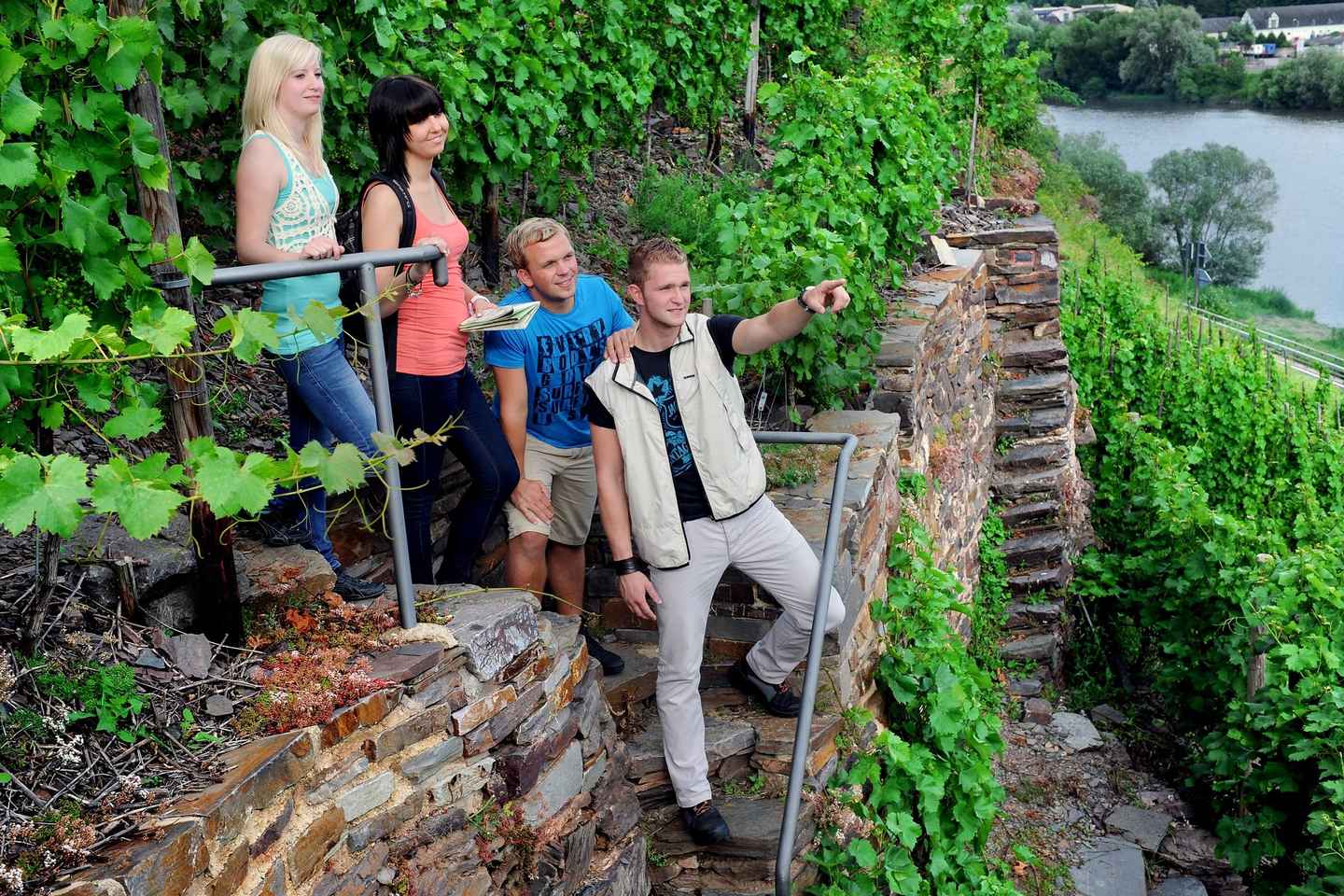 Traben-Trarbach / Bernkastel-Kues, Mosel: Weinwanderung
