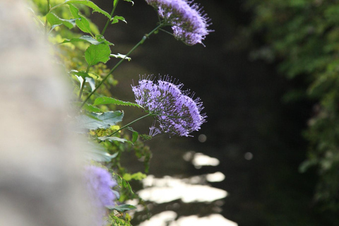 Wandertour: Verborgene Wasserwege der Alhambra