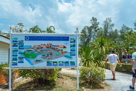 Phuket: świątynia, pomnik ofiarom tsunami, centrum żółwi i słoniePhuket: Temple, Tsunami Memorial, Turtle Center &amp; Elephant
