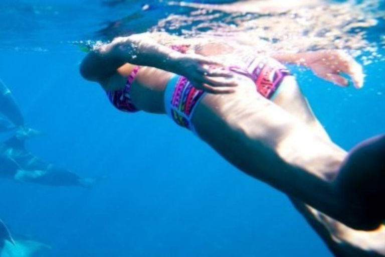 زنجبار: جولة خاصة في جزيرة منيمبا المرجانيةجولة خاصة بدون استلام أو توصيل من الفندق بدون غداء