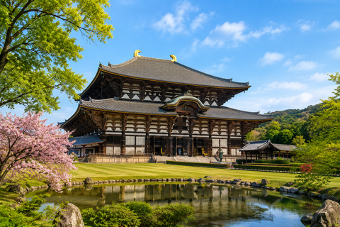 Osaka: Osaka & Nara Private Customizable Guided Tour