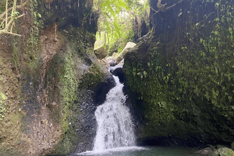 Tetebatu Waterfalls, Rice Terraces & Monkey Forest Day trip