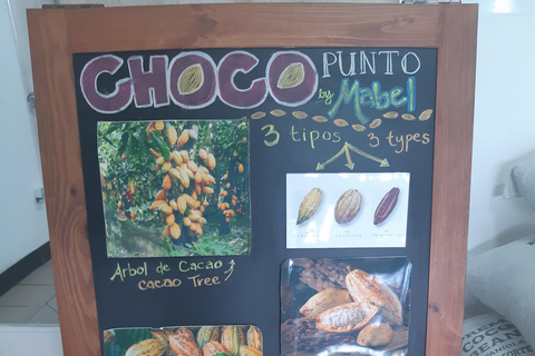 Punta Cana: Viagem Privada de Meio Dia Cultural com Sabores DominicanosPunta Cana: viagem cultural privada de meio dia pelos sabores dominicanos