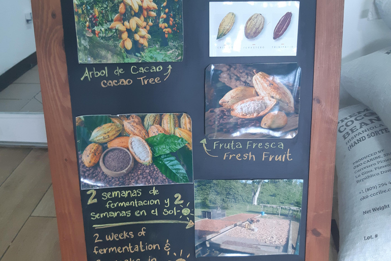 Punta Cana: Viagem Privada de Meio Dia Cultural com Sabores DominicanosPunta Cana: viagem cultural privada de meio dia pelos sabores dominicanos