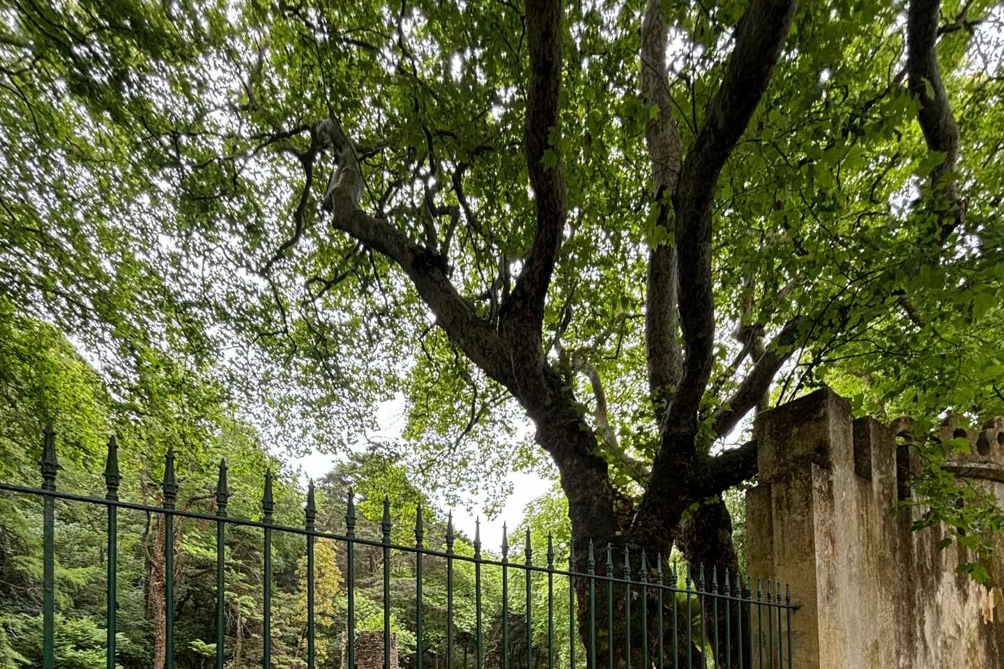 Sintra Tour With Tuktuk