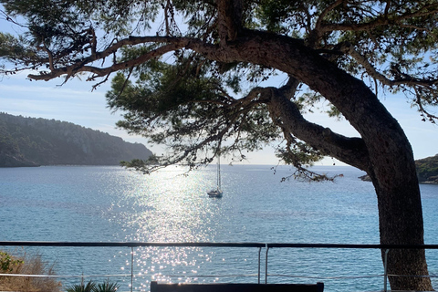 Serra Tramuntana: unvergessliche leichte Wanderung mit schönen Aussichten