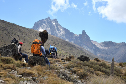 Excursion d&#039;une journée dans le parc national du Mont KenyaMT Kenya randonnée